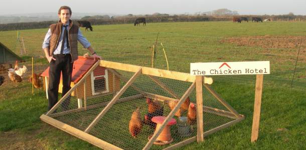 The Chicken Hotel