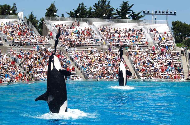 Sea World, San Diego