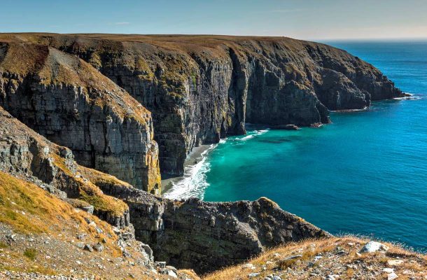 Kanadan Mistaken Point -fossiilialue