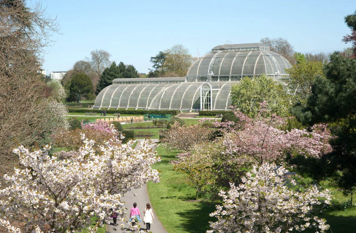 Kew Gardensin lasitalo Temperate House on vihreä keidas Lontoossa